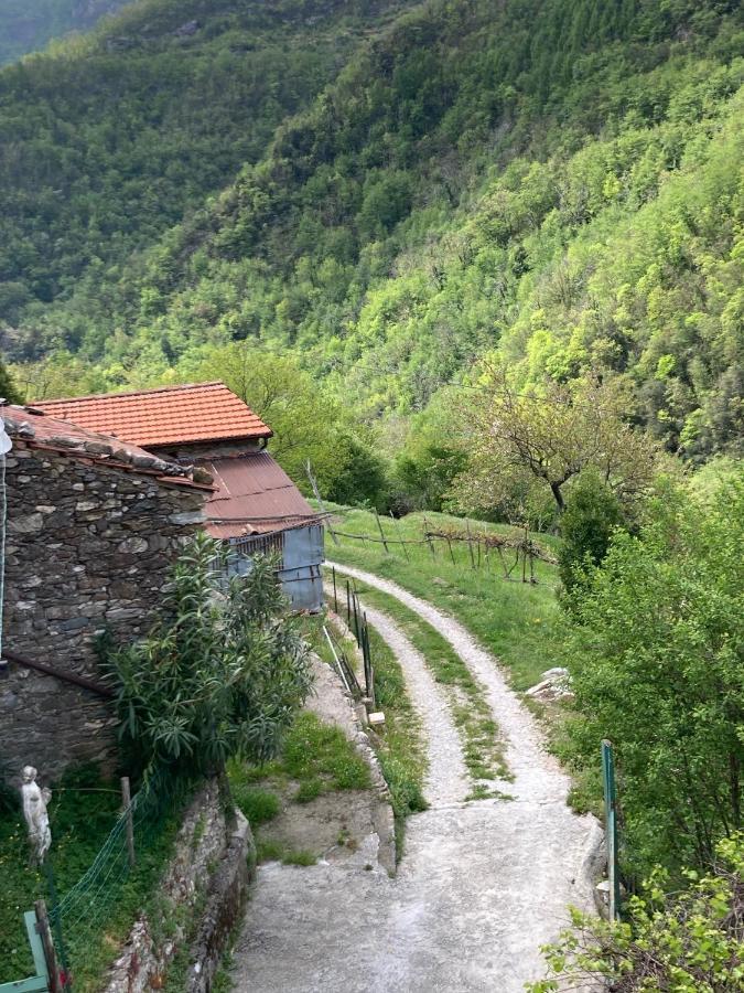 B&B Ameglia Garessio Zewnętrze zdjęcie